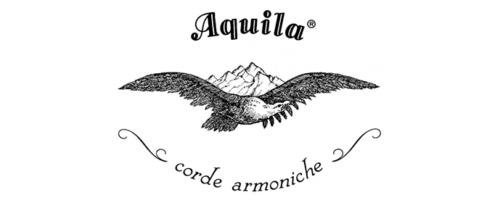 acquila web